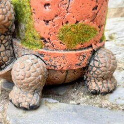 Darthome Limited Cement Turtle Planter With Clay Pipe Pot -Decor Garden Shop IMG E6314 edited20