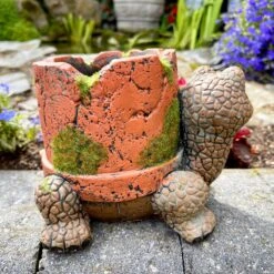Darthome Limited Cement Turtle Planter With Clay Pipe Pot -Decor Garden Shop IMG E6318 edited24