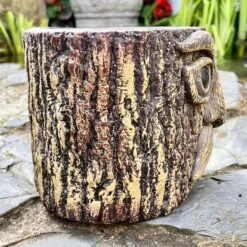 Darthome Limited Cement Tree Face Planter -Decor Garden Shop IMG E6328 edited33
