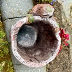 Darthome Limited Cement Sloth Planter - Birch Tree Log -Decor Garden Shop IMG E6345 edited49