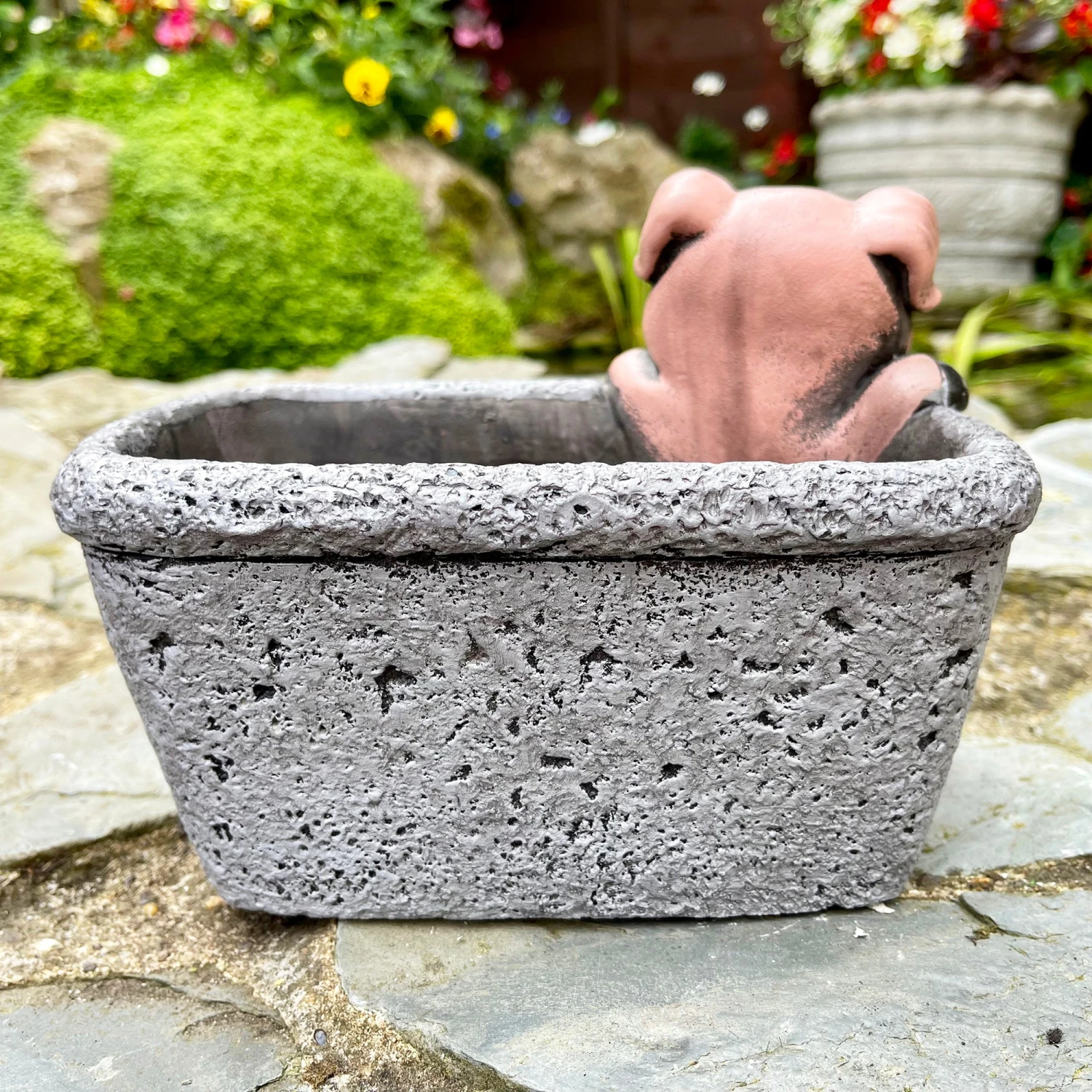 Darthome Limited Cement Pig In Trough Planter 4 Darthome Limited Cement Pig In Trough Planter - Image 4