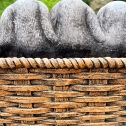 Darthome Limited Cement Three Wise Rabbits In Basket Planter 11 Darthome Limited Cement Three Wise Rabbits In Basket Planter -Decor Garden Shop IMG E6359 edited61