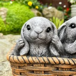 Darthome Limited Cement Three Wise Rabbits In Basket Planter 12 Darthome Limited Cement Three Wise Rabbits In Basket Planter -Decor Garden Shop IMG E6360 edited62