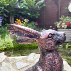 Darthome Limited Bronze Garden Alert Hare Ornament -Decor Garden Shop IMG E6555 edited239