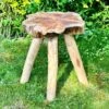 Darthome Limited Teak Root Mushroom Stool With 4 Legs
