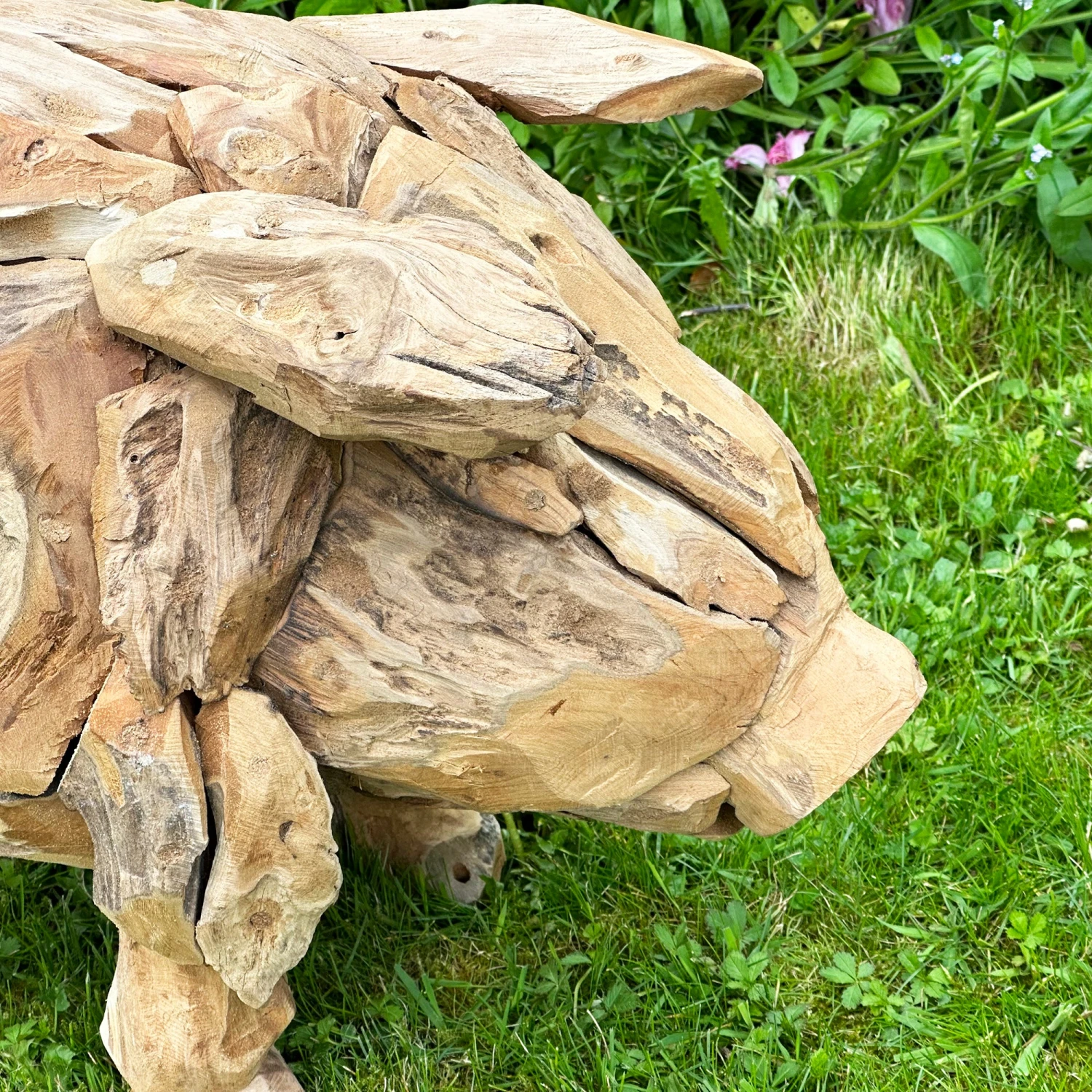 Darthome Limited Teak Root Baby Pig Sculpture 2 Darthome Limited Teak Root Baby Pig Sculpture - Image 2