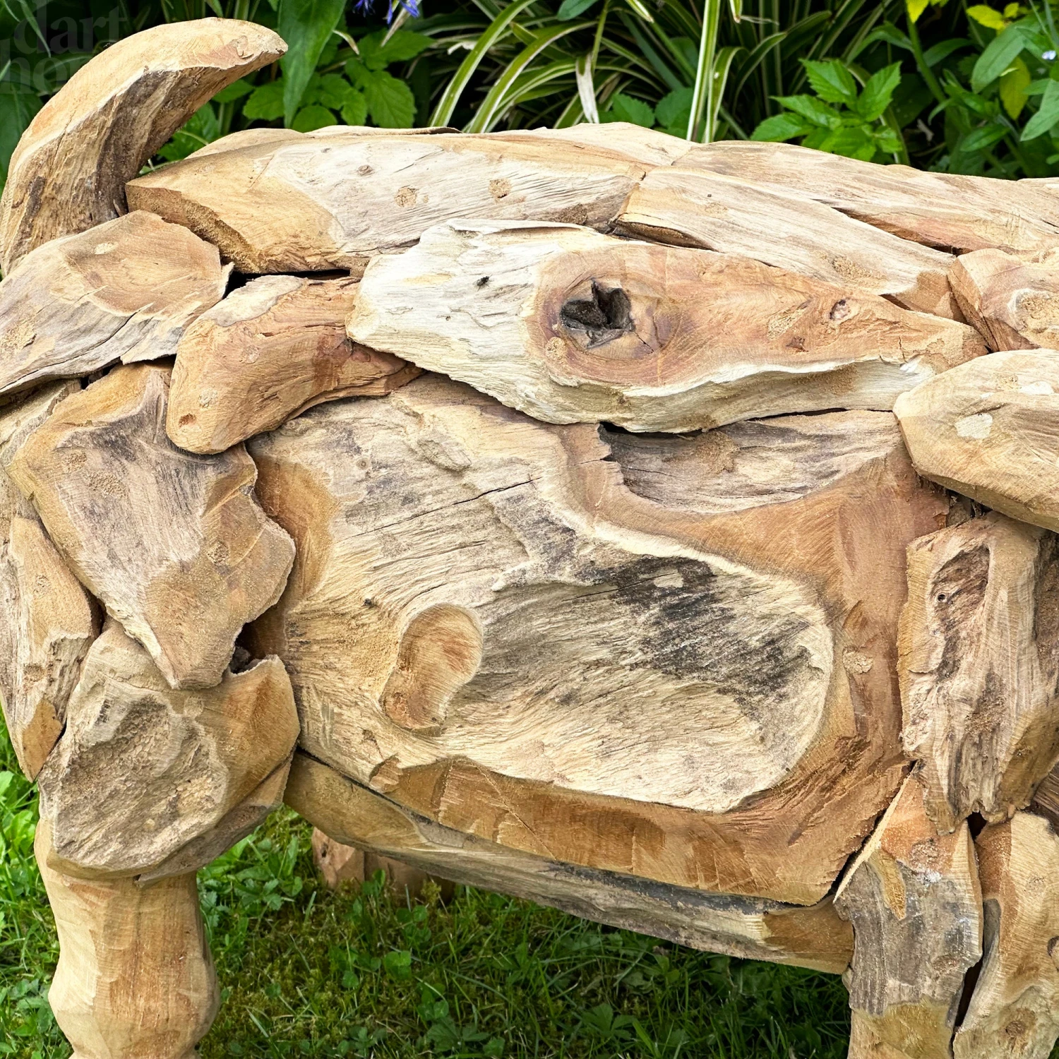 Darthome Limited Teak Root Baby Pig Sculpture 4 Darthome Limited Teak Root Baby Pig Sculpture - Image 4
