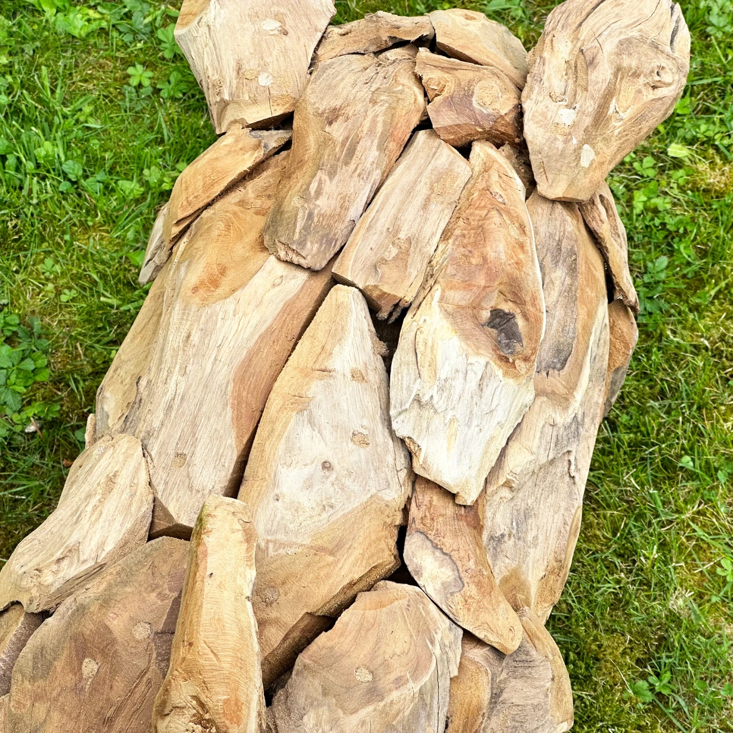 Darthome Limited Teak Root Baby Pig Sculpture 7 Darthome Limited Teak Root Baby Pig Sculpture - Image 7