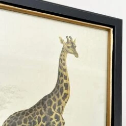 Darthome Limited Vintage Giraffe Framed Wall Art -Decor Garden Shop IMG E7286