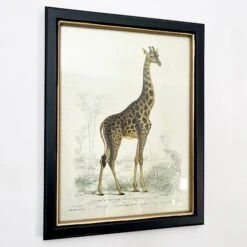 Darthome Limited Vintage Giraffe Framed Wall Art -Decor Garden Shop IMG E7287 b3fb1b51 814a 4cf4 89f3 2e20fc3569bc