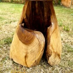 Darthome Limited Teak Root Mushroom Garden Sculpture -Decor Garden Shop IMG E7440 editedAQ