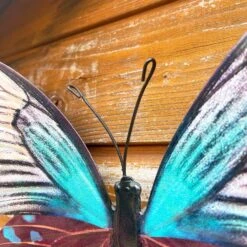 Darthome Limited Teal Butterfly Wall Art -Decor Garden Shop IMG E7564 editedS