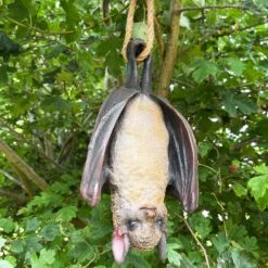 Darthome Limited Hanging Bat Garden Ornament