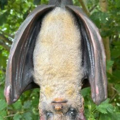 Darthome Limited Hanging Bat Garden Ornament -Decor Garden Shop IMG E7617 editedBK