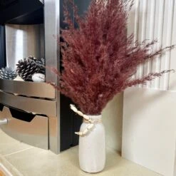 Darthome Limited Red Dried Pampas In Ceramic Vase -Decor Garden Shop IMG E8016 editedFB