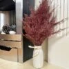 Darthome Limited Red Dried Pampas In Ceramic Vase