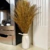 Darthome Limited Gold Dried Pampas In Ceramic Vase