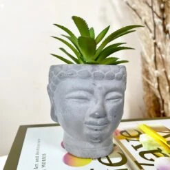 Darthome Limited Cement Buddha Head Succulent