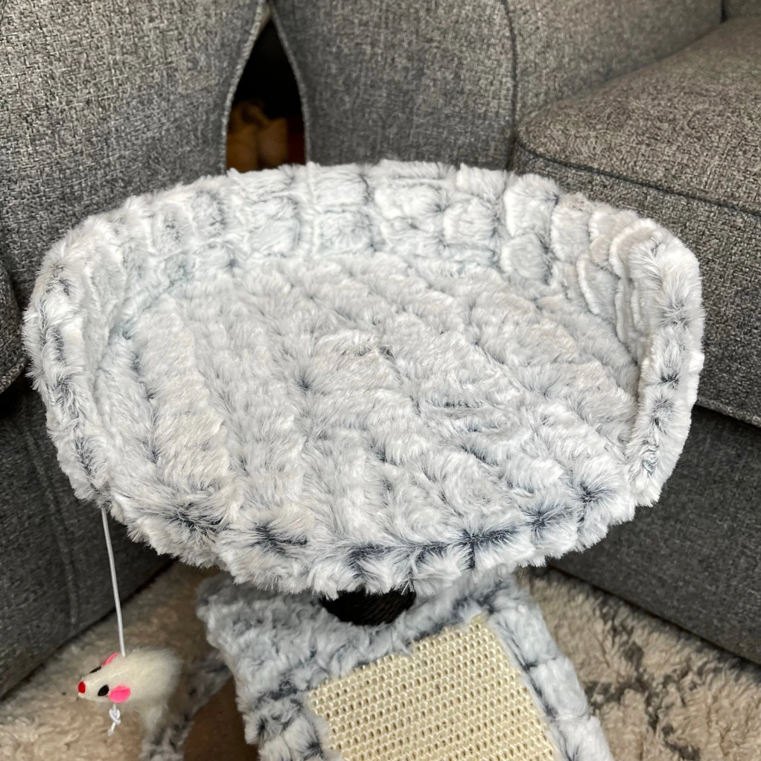 Darthome Limited Cat Scratcher Tree With Bed 2 Darthome Limited Cat Scratcher Tree With Bed - Image 2