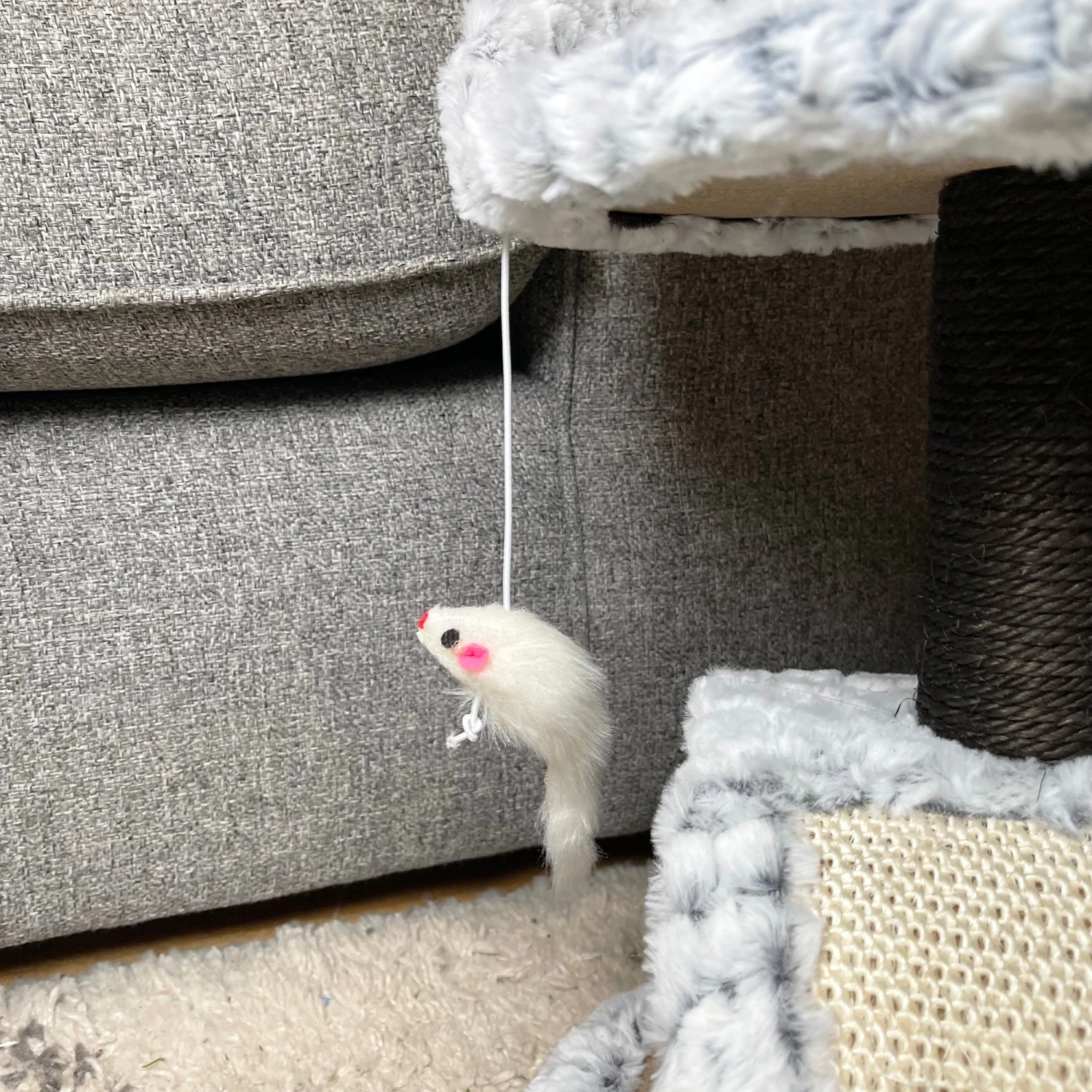 Darthome Limited Cat Scratcher Tree With Bed 3 Darthome Limited Cat Scratcher Tree With Bed - Image 3