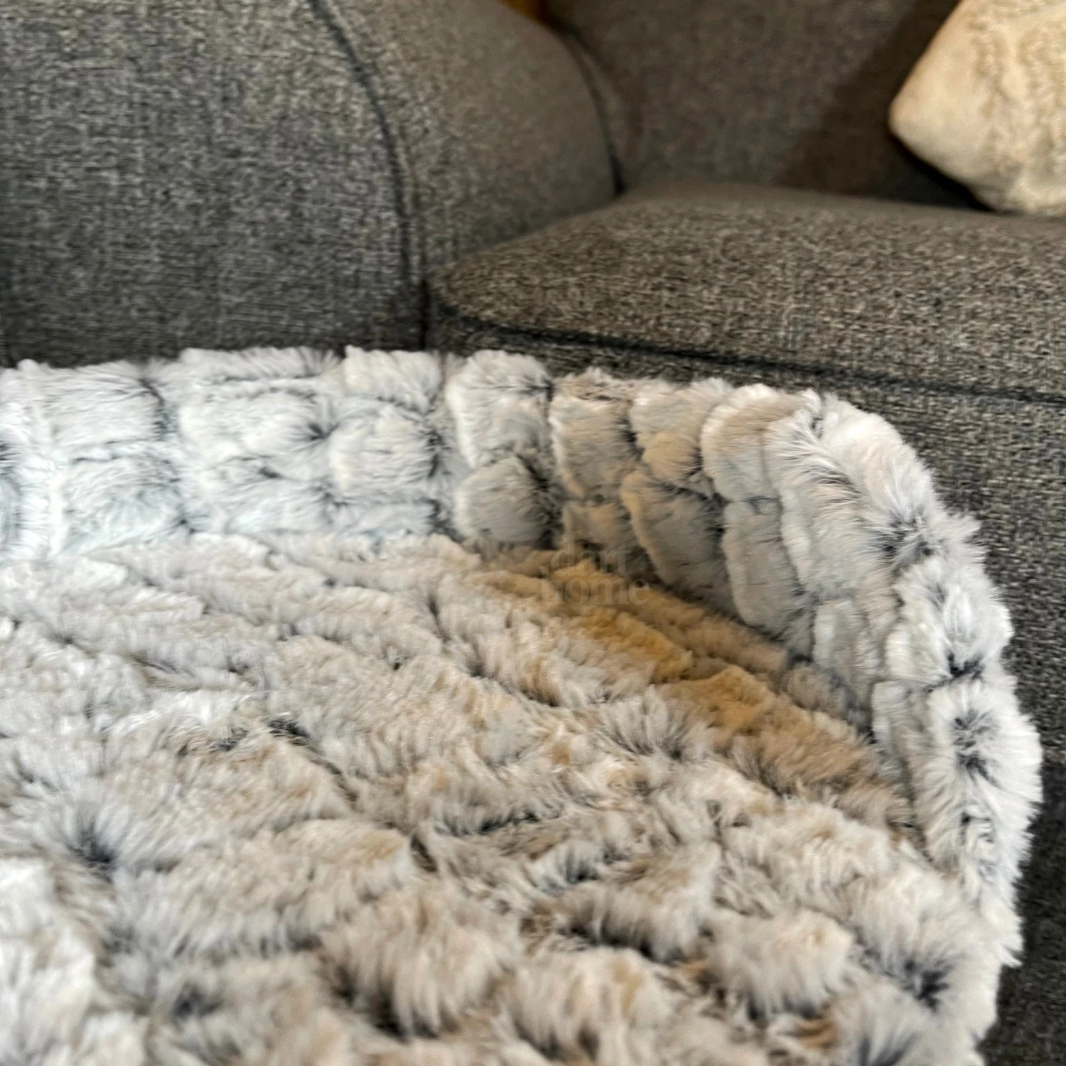 Darthome Limited Cat Scratcher Tree With Bed 8 Darthome Limited Cat Scratcher Tree With Bed - Image 8