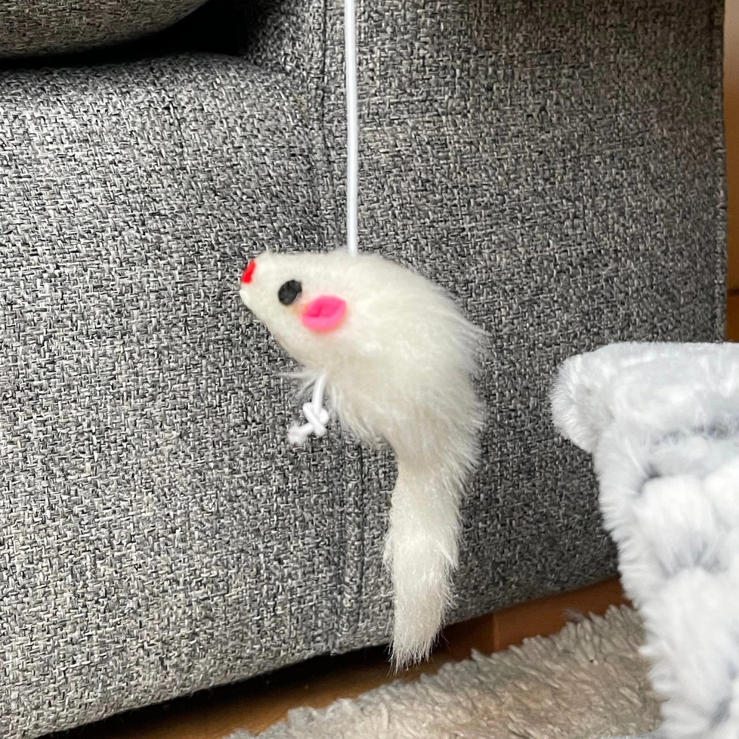 Darthome Limited Cat Scratcher Tree With Bed 14 Darthome Limited Cat Scratcher Tree With Bed - Image 14