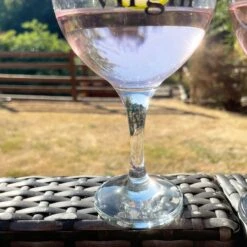 Darthome Limited Set Of 2 Novelty Balloon Gin Glasses -Decor Garden Shop IMG E8704copy