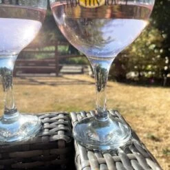 Darthome Limited Set Of 2 Novelty Balloon Gin Glasses -Decor Garden Shop IMG E8705copy