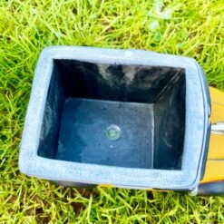 Darthome Limited Cement Delivery Van Garden Planter 21cm -Decor Garden Shop IMG E9144 edited103