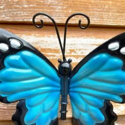 Darthome Limited Blue Butterfly Wall Art Small -Decor Garden Shop IMG E9225 editedFJ 1