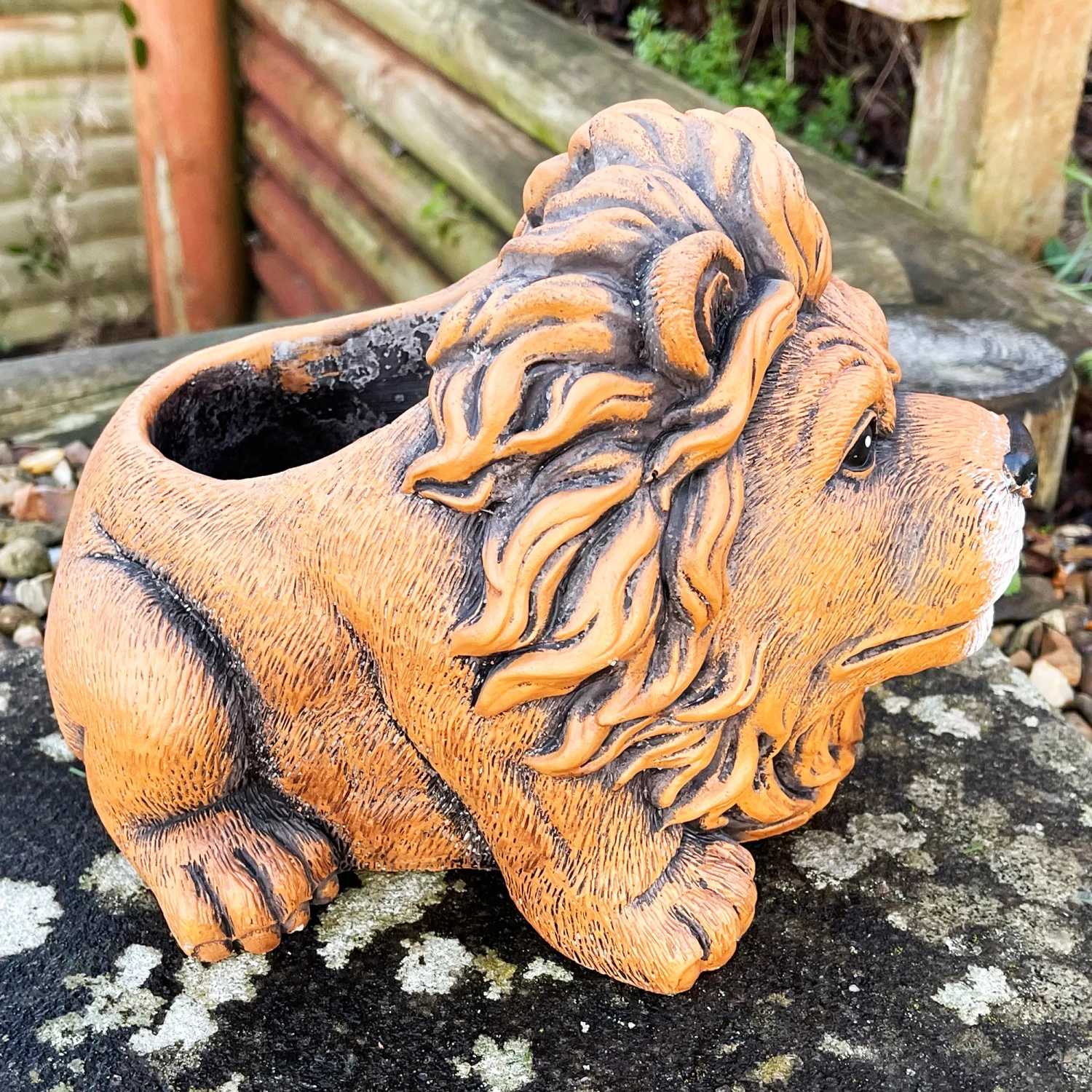 Darthome Limited Cement Lion Planter 6 Darthome Limited Cement Lion Planter - Image 6