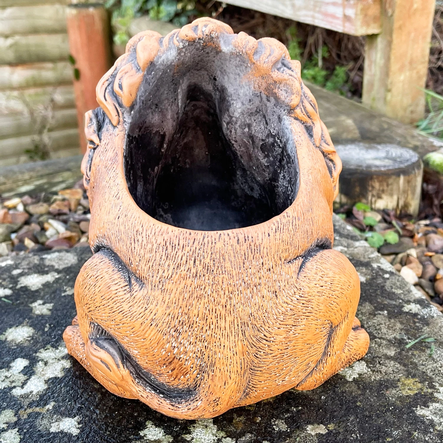 Darthome Limited Cement Lion Planter 7 Darthome Limited Cement Lion Planter - Image 7