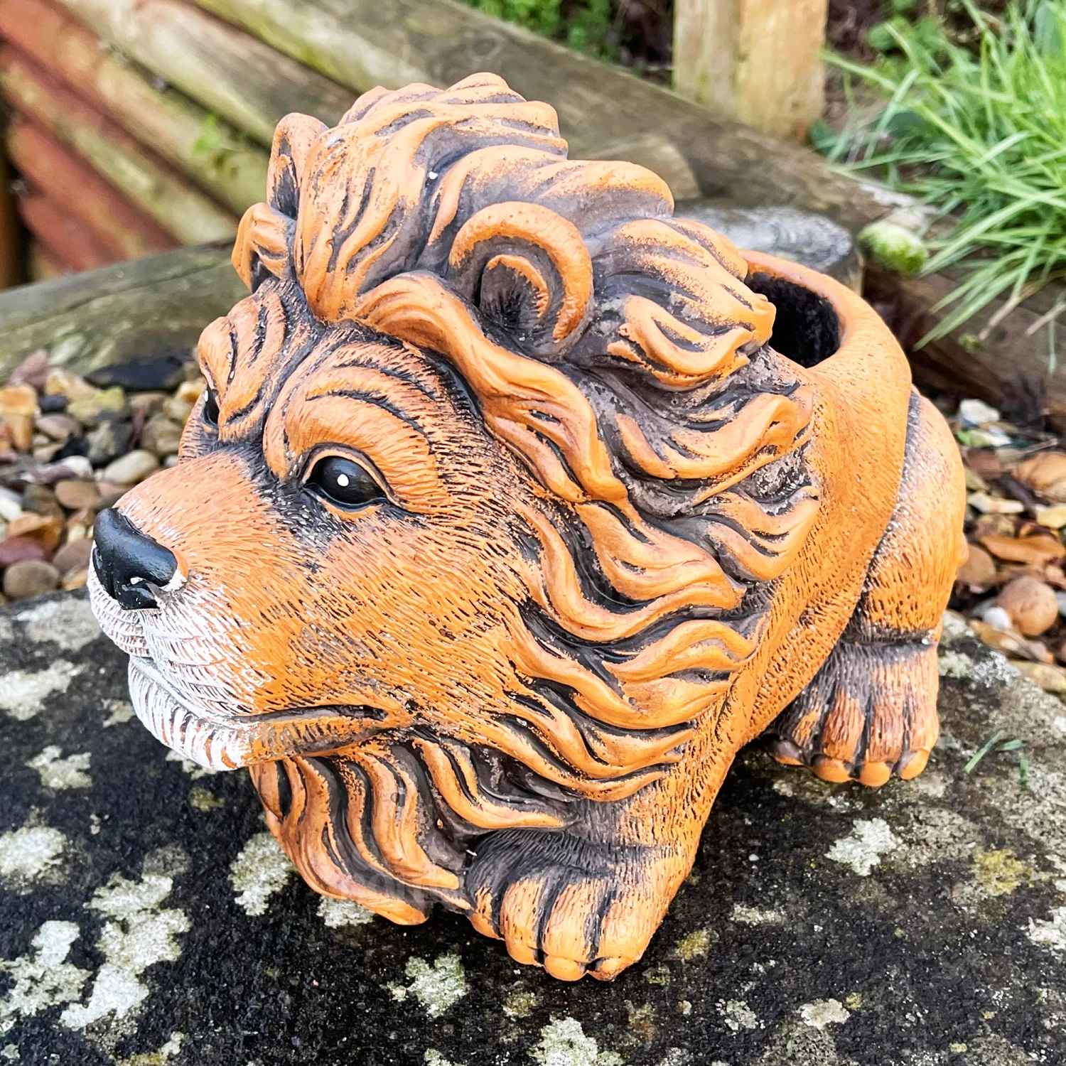 Darthome Limited Cement Lion Planter 1 Darthome Limited Cement Lion Planter