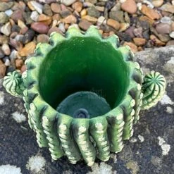 Darthome Limited Small Cement Cactus Planter 10 Darthome Limited Small Cement Cactus Planter -Decor Garden Shop IMG E9306