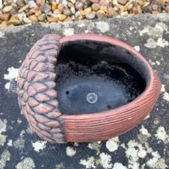 Darthome Limited Cement Acorn Planter 10 Darthome Limited Cement Acorn Planter -Decor Garden Shop IMG E9313