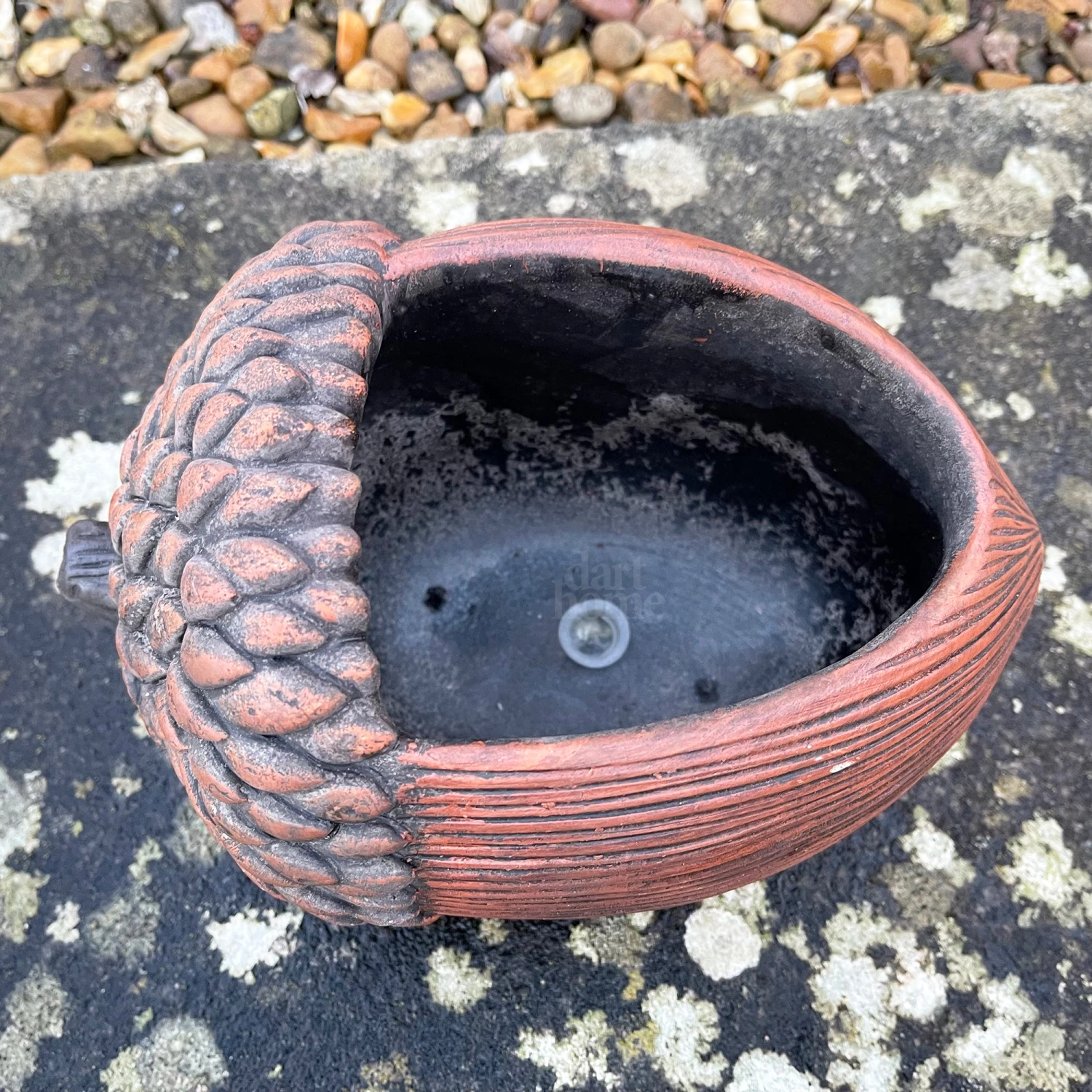 Darthome Limited Cement Acorn Planter 4 Darthome Limited Cement Acorn Planter - Image 4