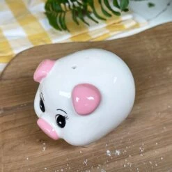 Darthome Limited Ceramic White Pig Novelty Salt And Pepper Shakers Set -Decor Garden Shop IMG E9337 edited247