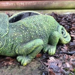 Darthome Limited Cement Green Chameleon Planter -Decor Garden Shop IMG E9357