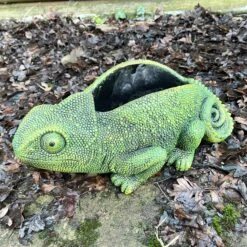 Darthome Limited Cement Green Chameleon Planter -Decor Garden Shop IMG E9359