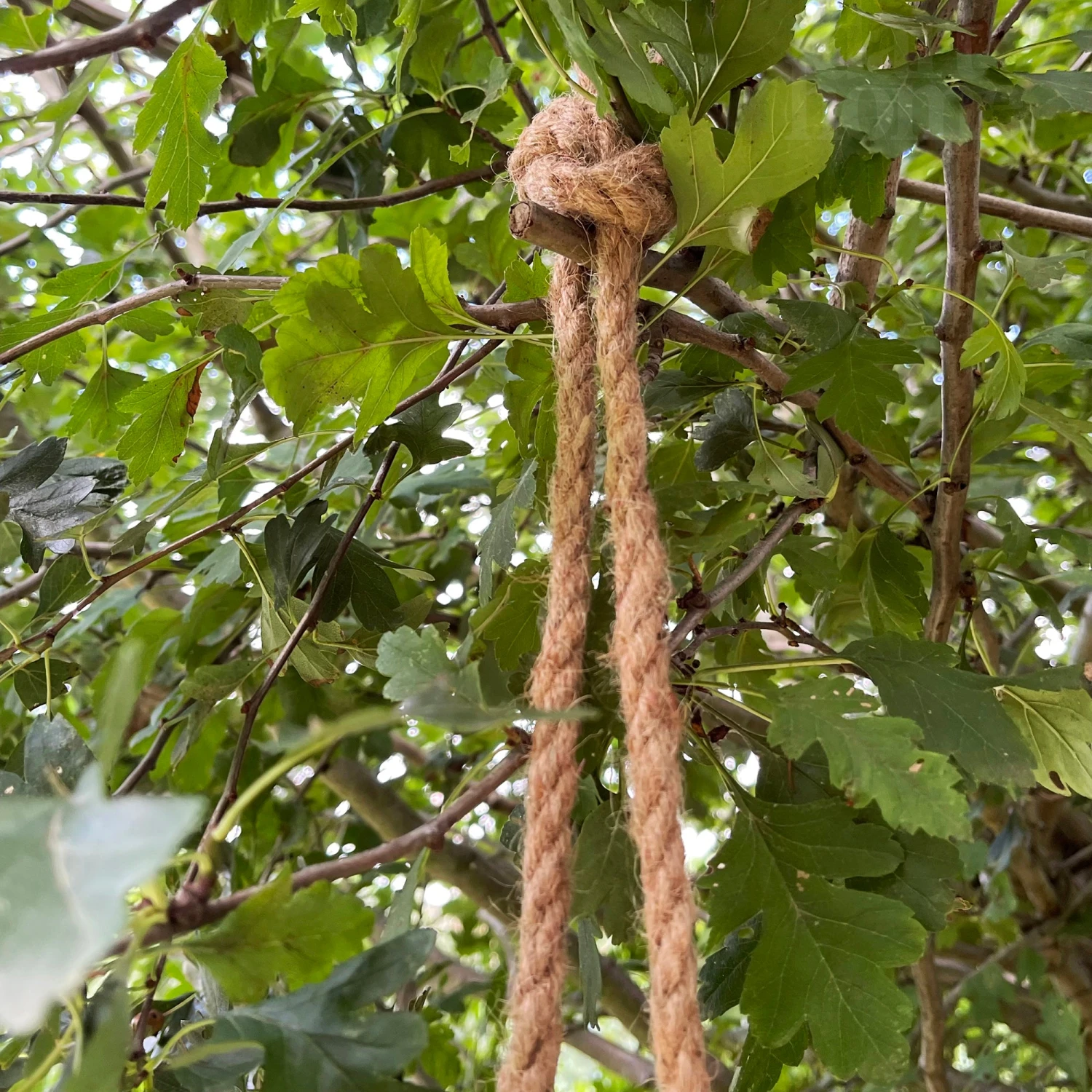 Darthome Limited Black Hanging Monkey Ornament 4 Darthome Limited Black Hanging Monkey Ornament - Image 4