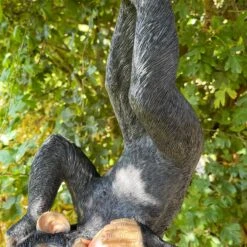 Darthome Limited Black Hanging Upside Down Monkey Ornament 7 Darthome Limited Black Hanging Upside Down Monkey Ornament -Decor Garden Shop IMG E9409 editedCO