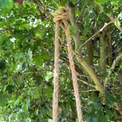 Darthome Limited Black Hanging Upside Down Monkey Ornament 9 Darthome Limited Black Hanging Upside Down Monkey Ornament -Decor Garden Shop IMG E9411 editedCQ