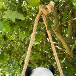Darthome Limited Hanging Panda Garden Ornament 30cm 9 Darthome Limited Hanging Panda Garden Ornament 30cm -Decor Garden Shop IMG E9418 editedCX 1