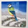 Darthome Limited Winter Blue Tit Ceramic Tile Wall Art